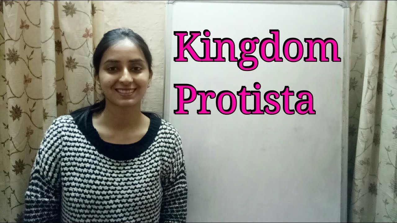 Kingdom Protista | Biological Classification part-3 | Class XI | Lecture 31