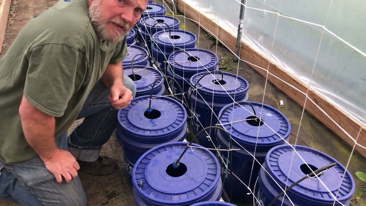 How to unclog drip emitters