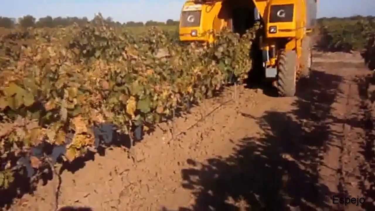 Gregoire G 104 vendimiando viñas en espaldera
