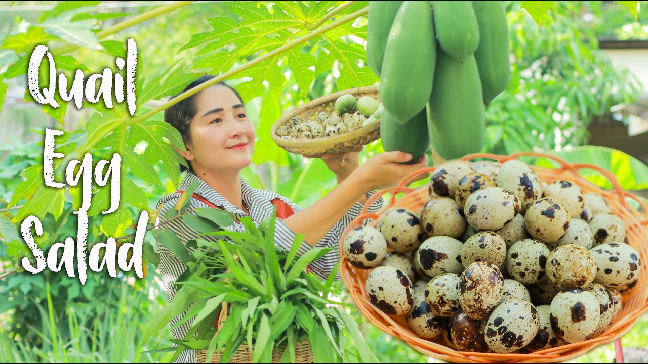 Quail egg spicy salad homemade | Collect some quail egg for food