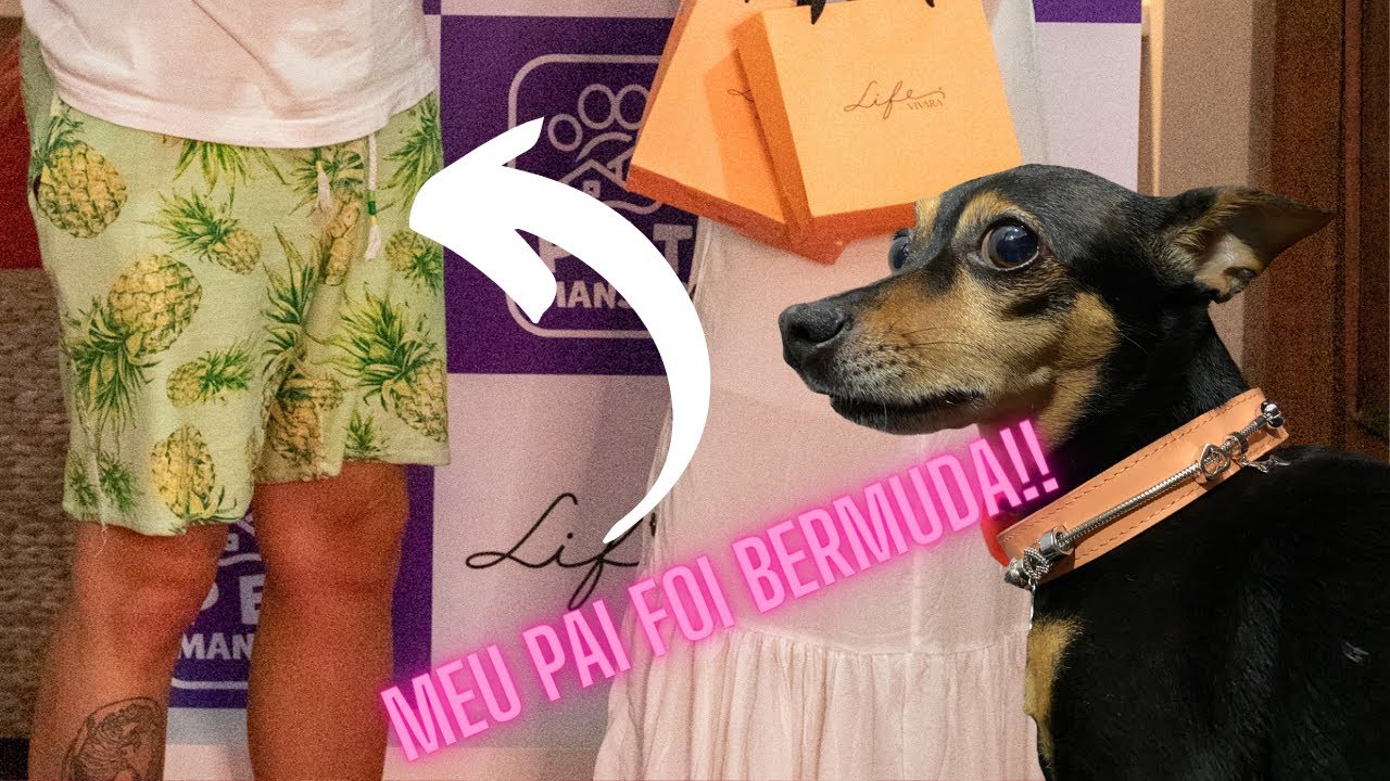 BICA COMENTA O JANTAR DA VIVARA NA PETMANSÃO