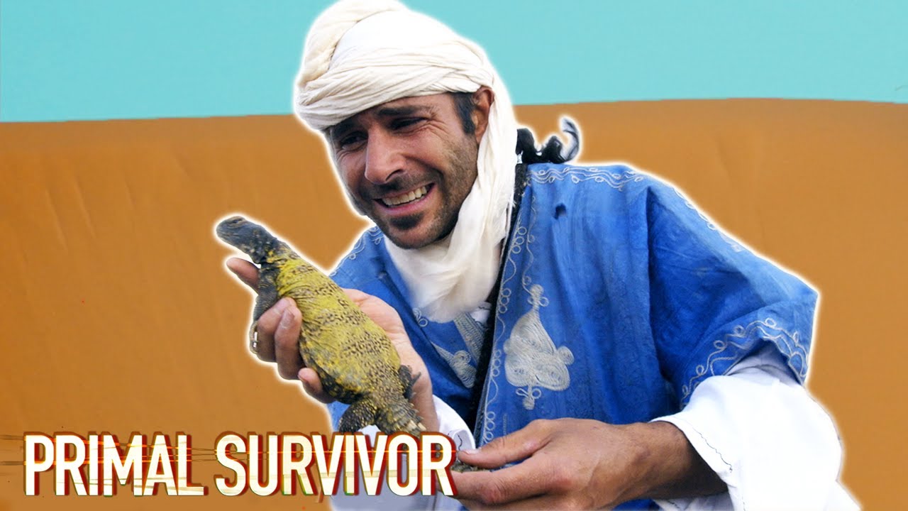 How To Catch A SPINY-TAILED LIZARD In The Desert | Primal Survivor