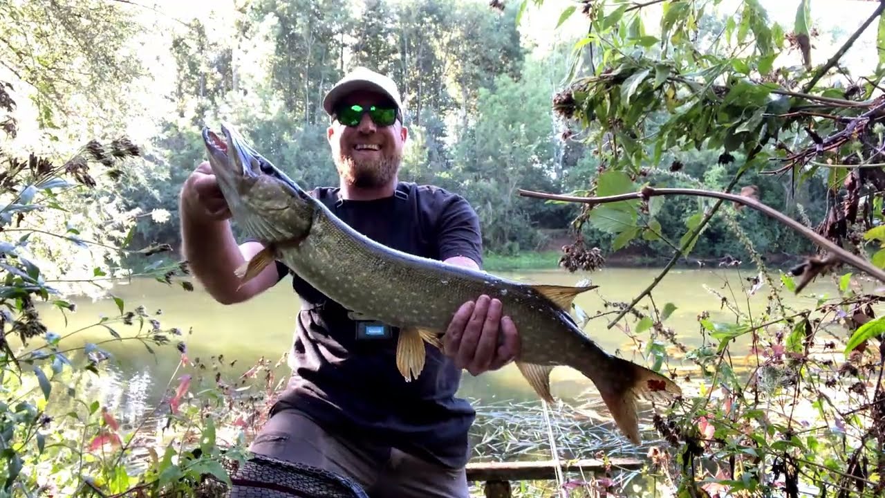Je pêche un petit étang plein d'herbe, les brochets ne résiste pas au Kubira.