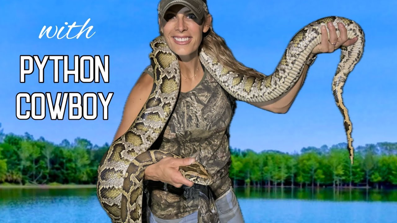 Face to Face with a Wild Python