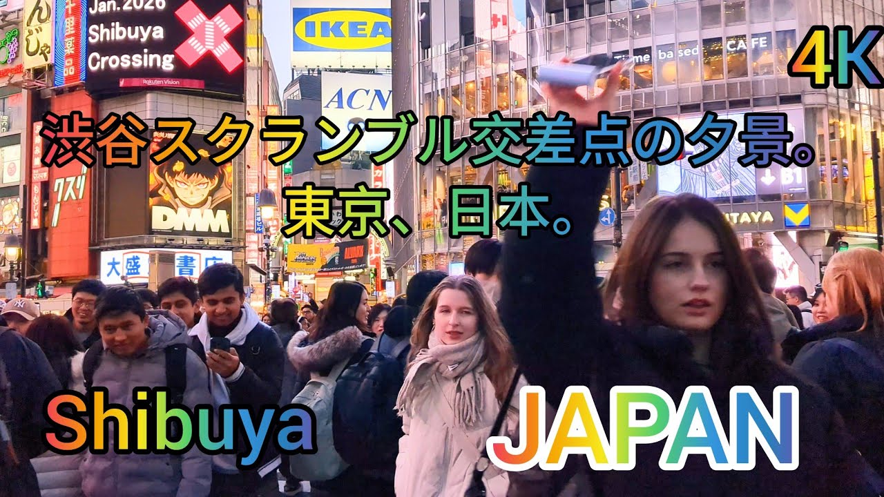 Evening Walking Tour in Shibuya. 