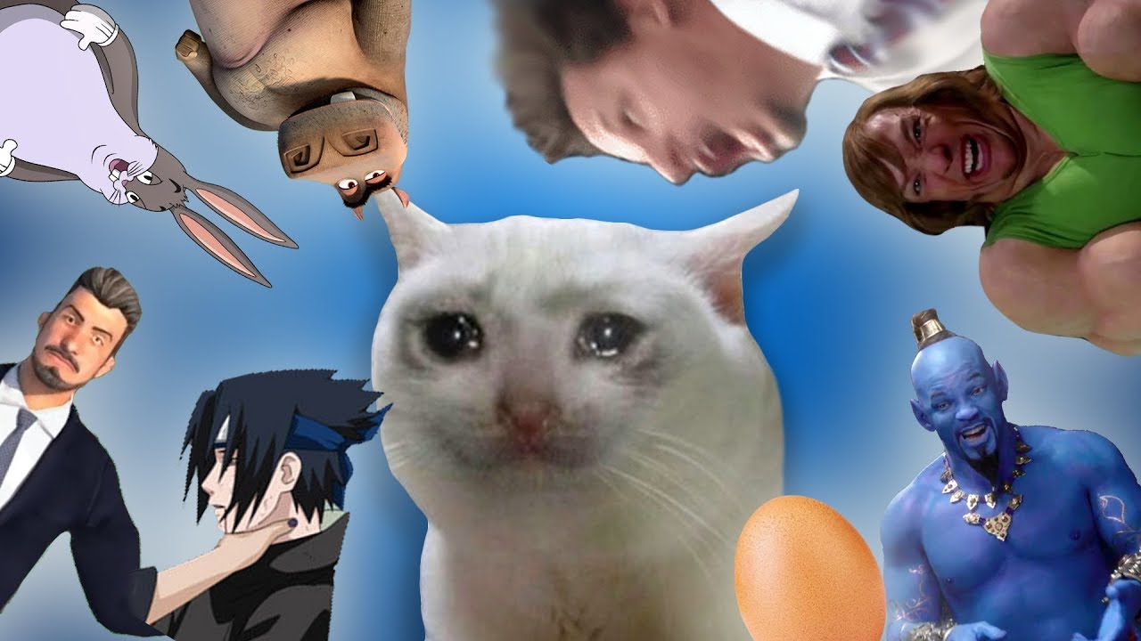 There are no good Memes in 2019... So far - VRCHAT