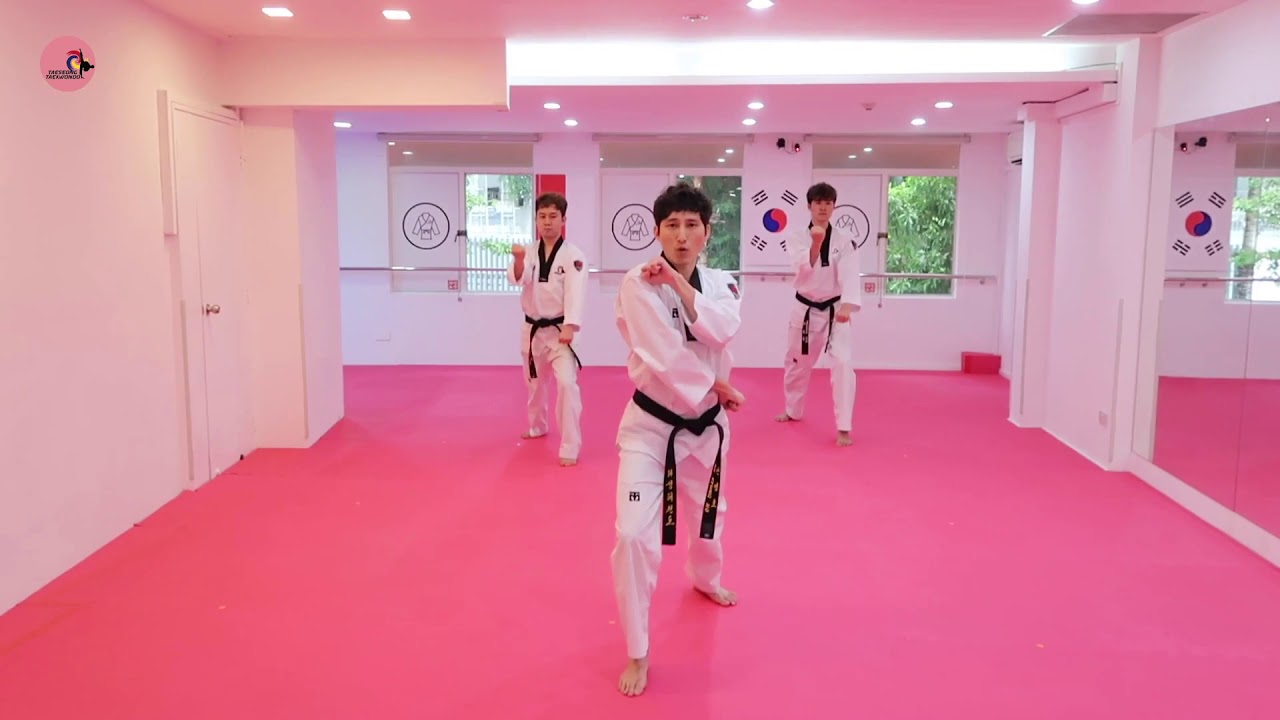[Week 3] Red Belt Pattern: Step 14-25