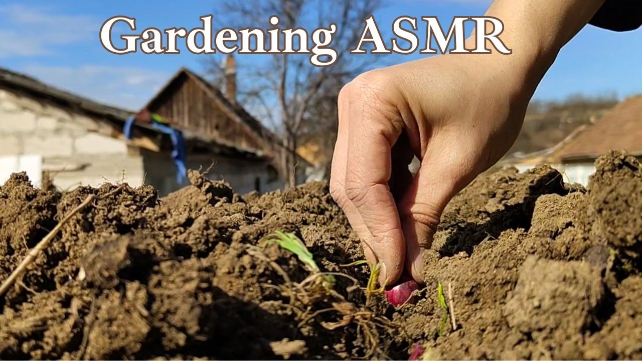 Planting in Silence | Real Life ASMR (No Music, Romanian Village)