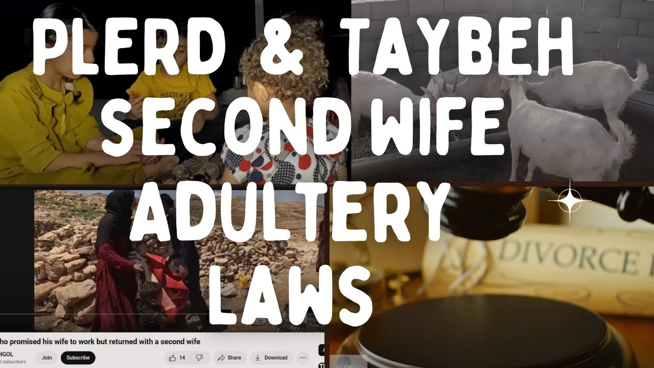 1. Plerd & Taybeh Real Fake or SCAM using Iranian law