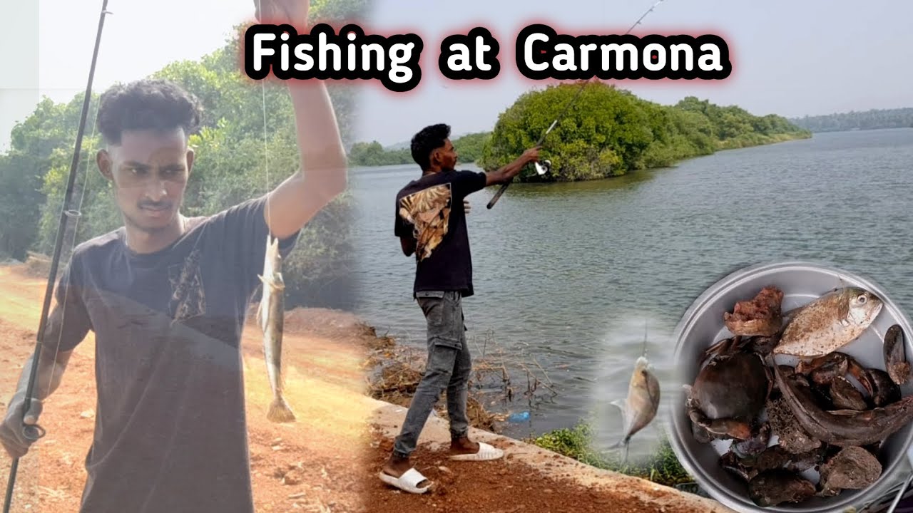 Again fishing at Carmona | Goa fishing vlog #konkanivlog