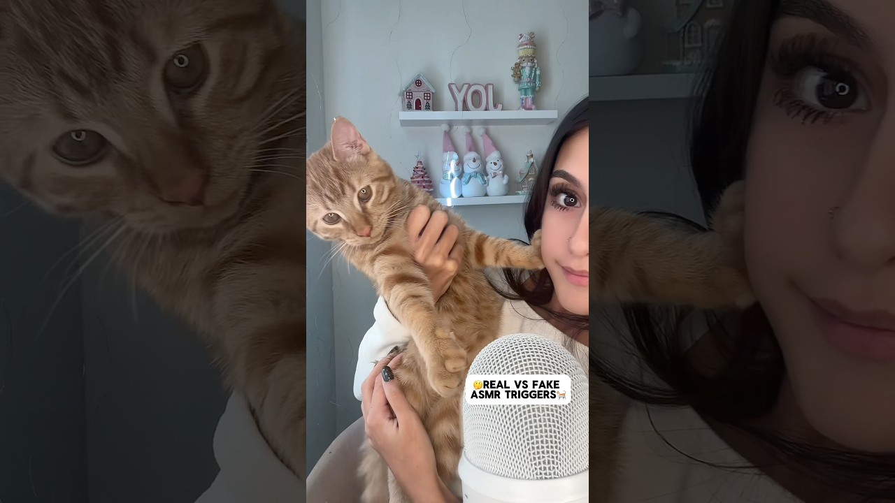SUBSCRIBE for MORE #asmr #explore #pov #asmrtriggers