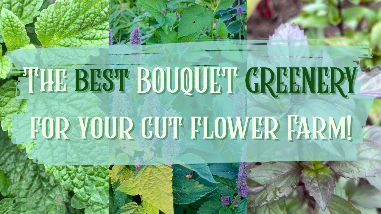 Best Fillers for Market Bouquets