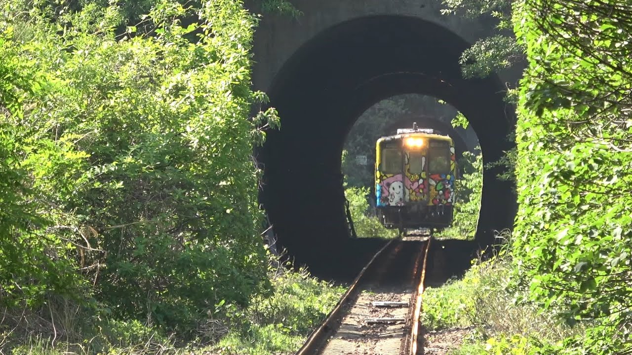 [JR四国一の急勾配] キハ54形普通 予讃線＆内子線 通過・発車シーン集