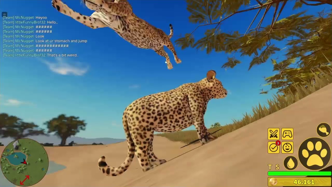 Growing and kosing as leopard with bf in savannah life roblox