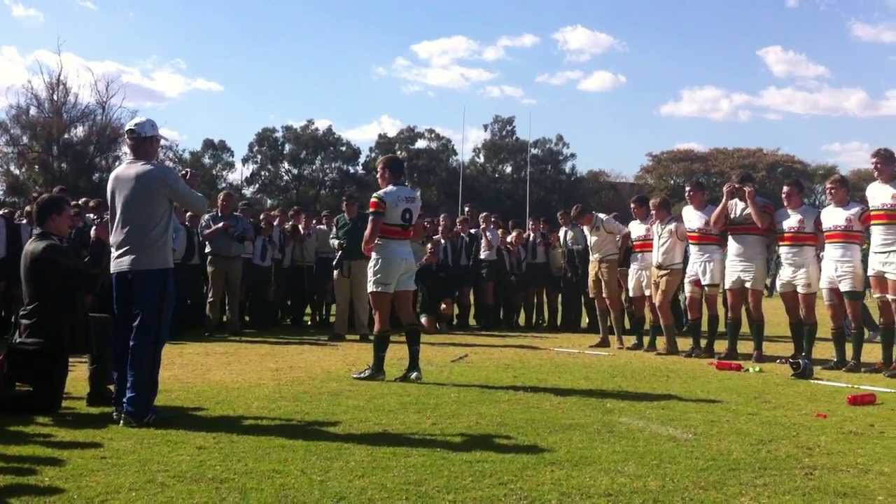 Affies Witbulle 2013