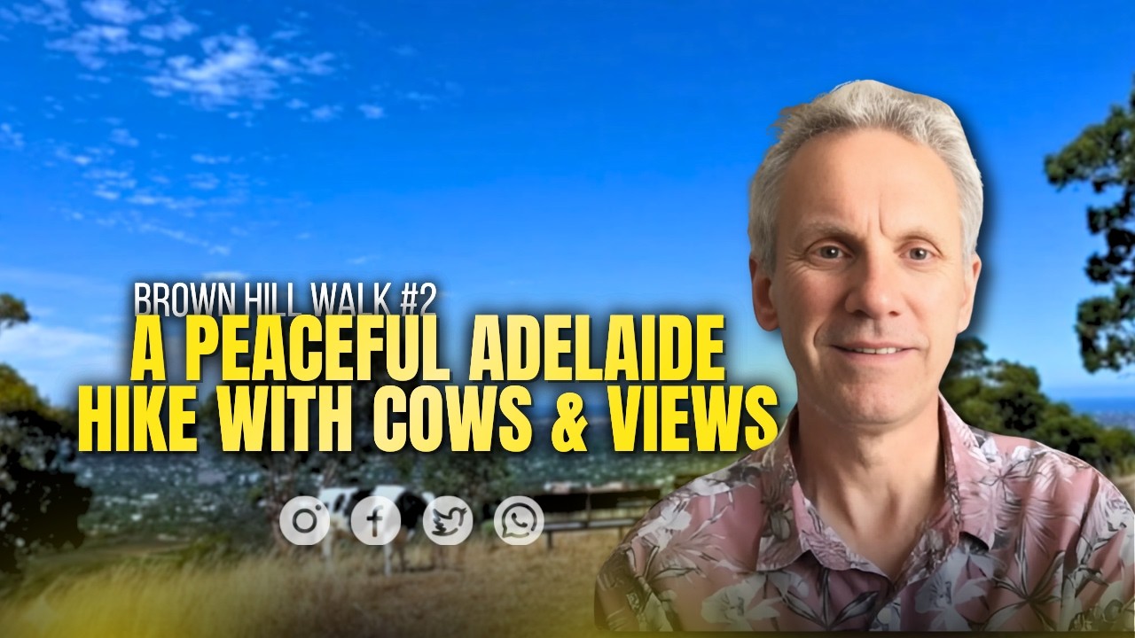Brown Hill Walk #2 | Adelaide Scenic Hike with Cows & Hilltop Views | Life Reflections through Music