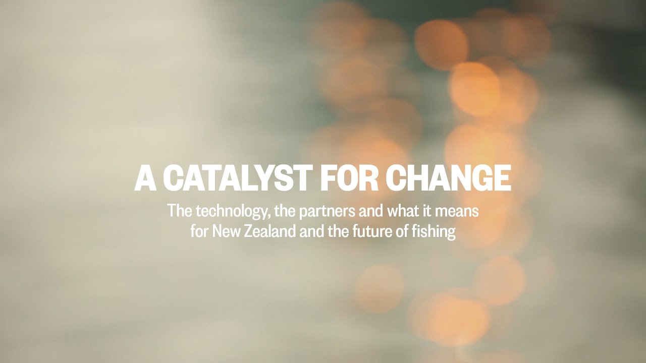 1 --&nbsp;A Catalyst for Change