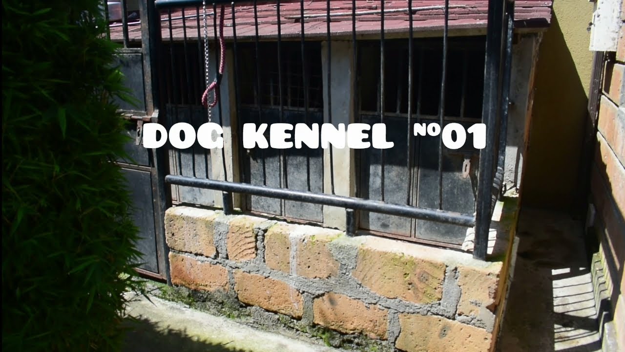 Dog kennel 01