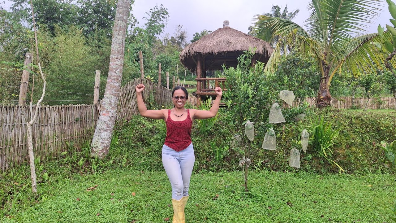#slowliving Tropical Fruits Orchard Tour || Lihat-Lihat Kebun buah ||