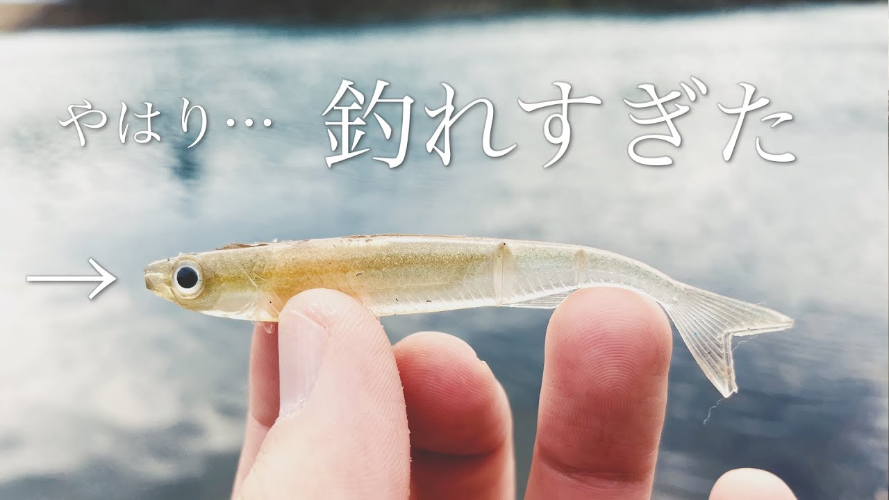 【ライアミノー】早春シャローのホバストとミドストが最強すぎた。。。【冴掛七弐】