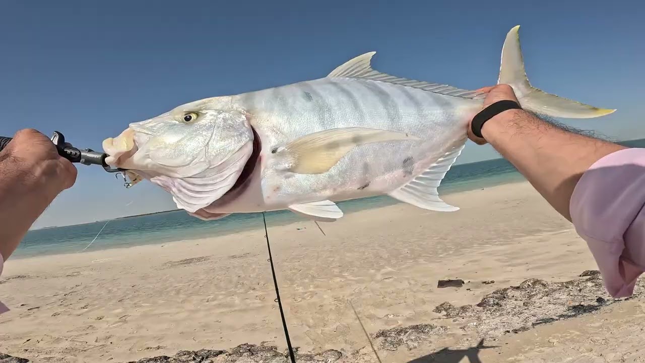 Golden Trevally_TrailTribe Fam_Entry04_4.74KG