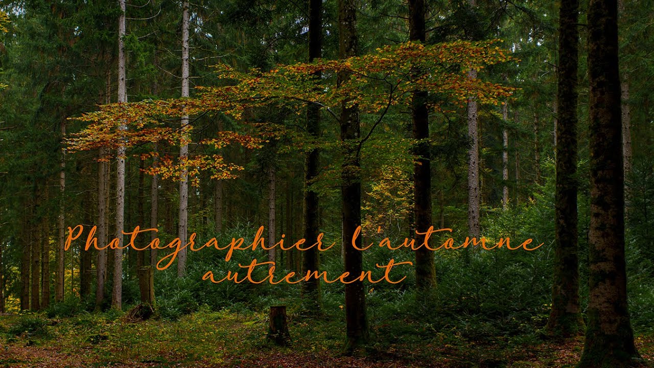 Mes propositions pour photographier l'automne 