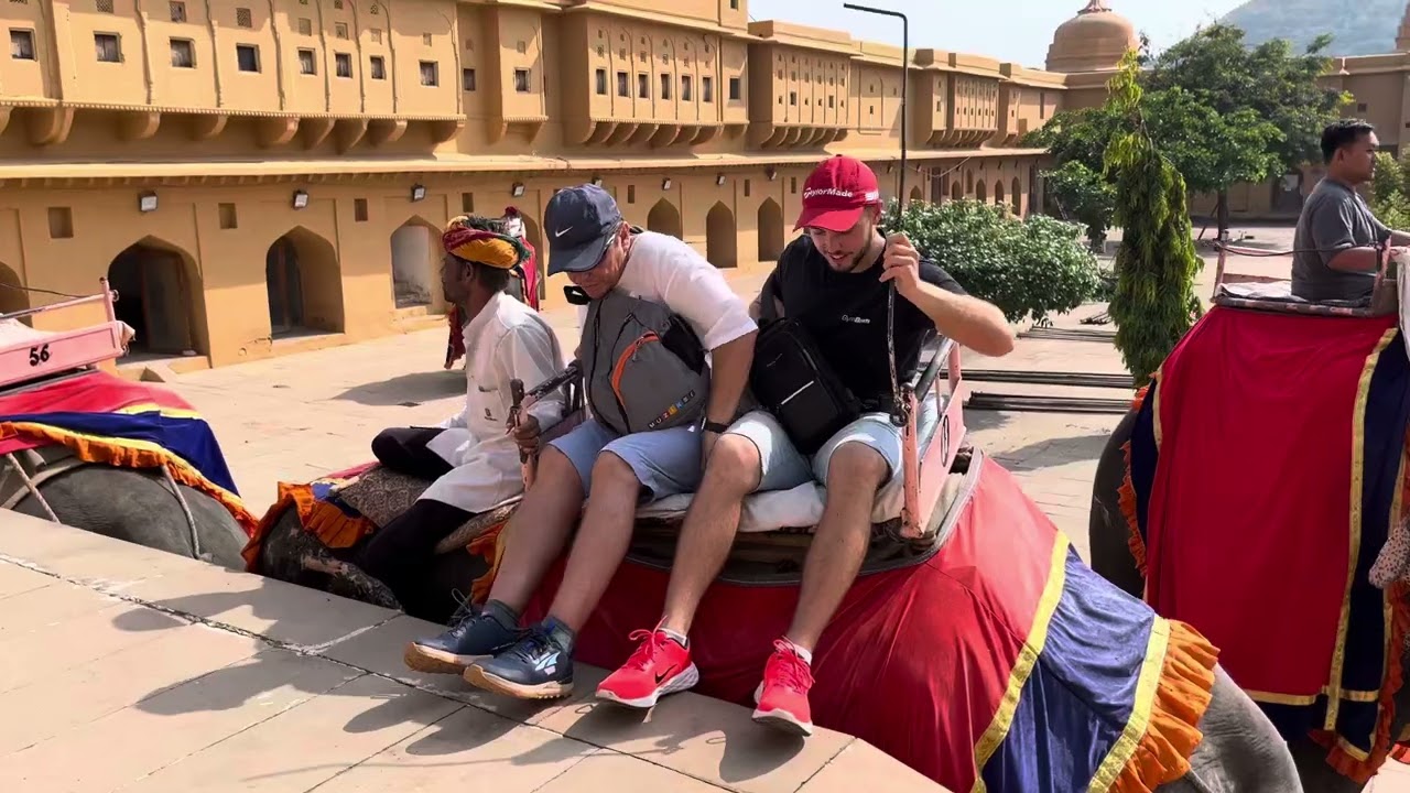 Amer fort - Jaipur - Elephant ride #elephant #amerfortjaipur #jaipur #rajasthan #pinkcity #travel