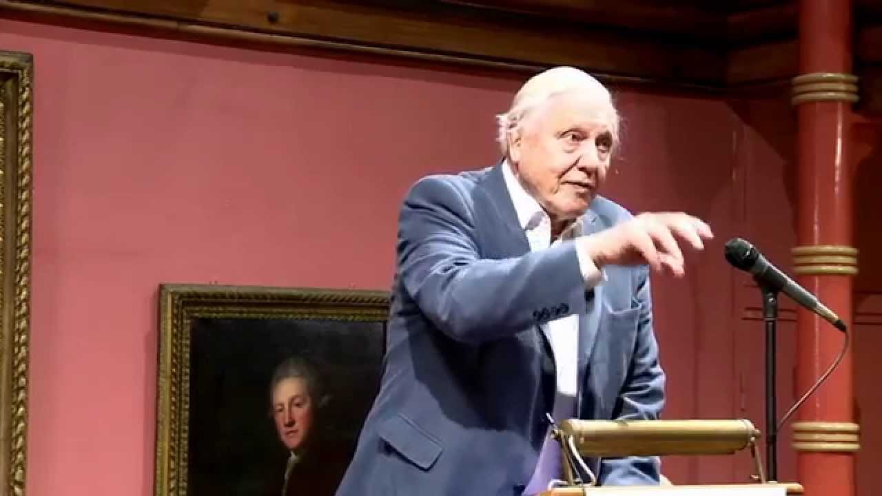A Poetic Eye: John Craxton on Cranborne Chase and Crete - Official Exhibition Opening