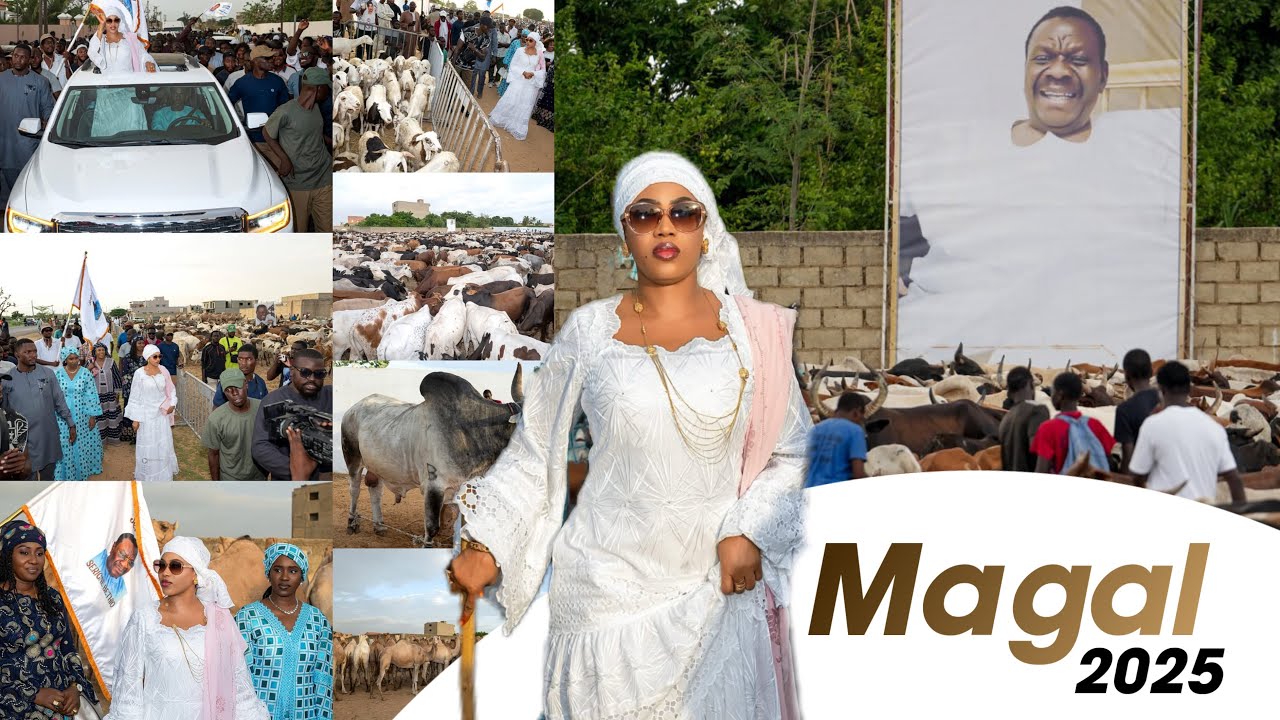 MAGAL DE SERIGNE TOUBA 2025 : VISITE DES ENCLOS DE BOEUFS ET CHAMEAUX PAR SOKHNA AIDA SALIOU
