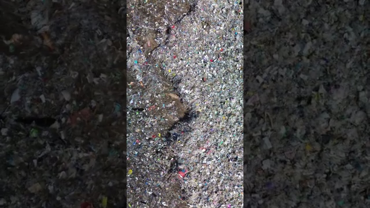 Yesi Rahmadi Hukum Tata Negara Fakultas Syariah Universitas Islam Negeri Palopo