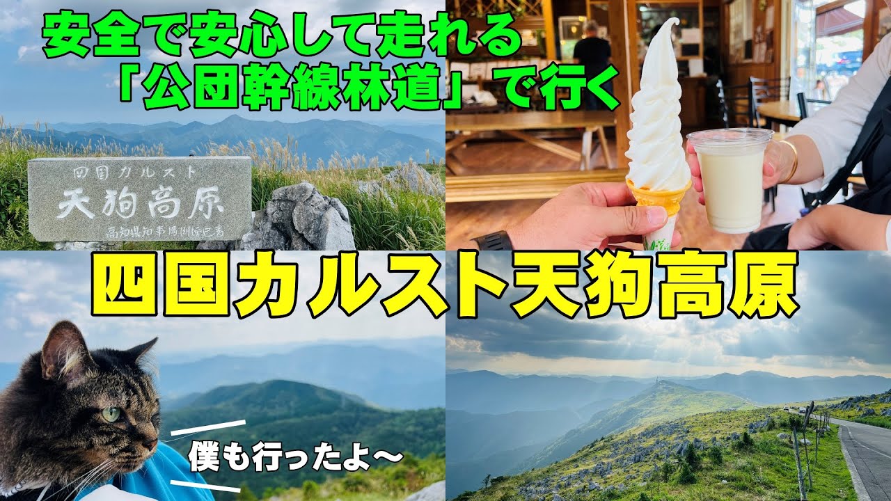 四国カルスト天狗高原へ 安全で安心して走れるルートで行こう！ 愛猫トラちゃんも一緒にのんびりとドライブしながら大自然と涼を楽しみ最後は大野ヶ原へ