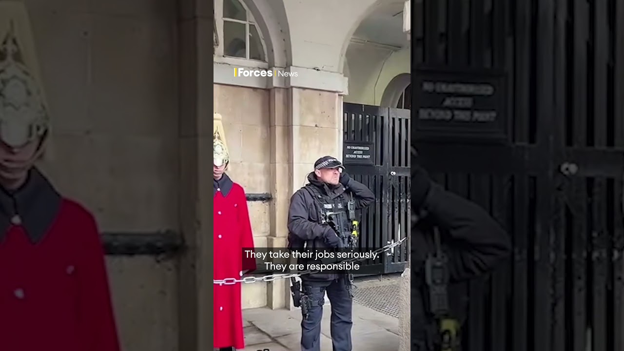 Armed police officer shuts down tourists heckling King's Guard