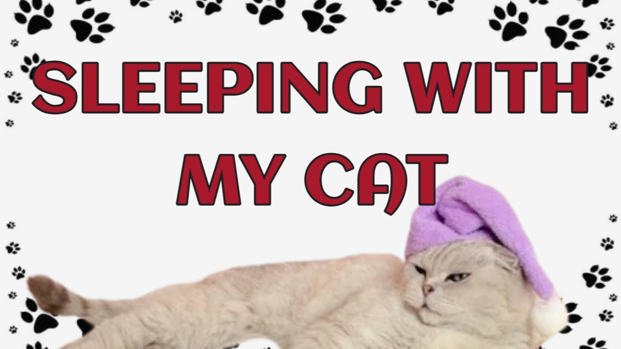 🐾Sleeping with Cats: A Purr-fect Sleep Aid?