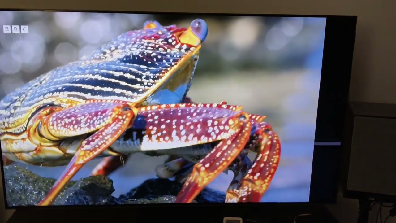 TCL 65C765 error 18-02-26