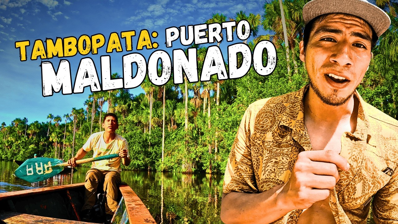¿Qué hacer en PUERTO MALDONADO?: Guía completa de 3 días en Tambopata. 🐊