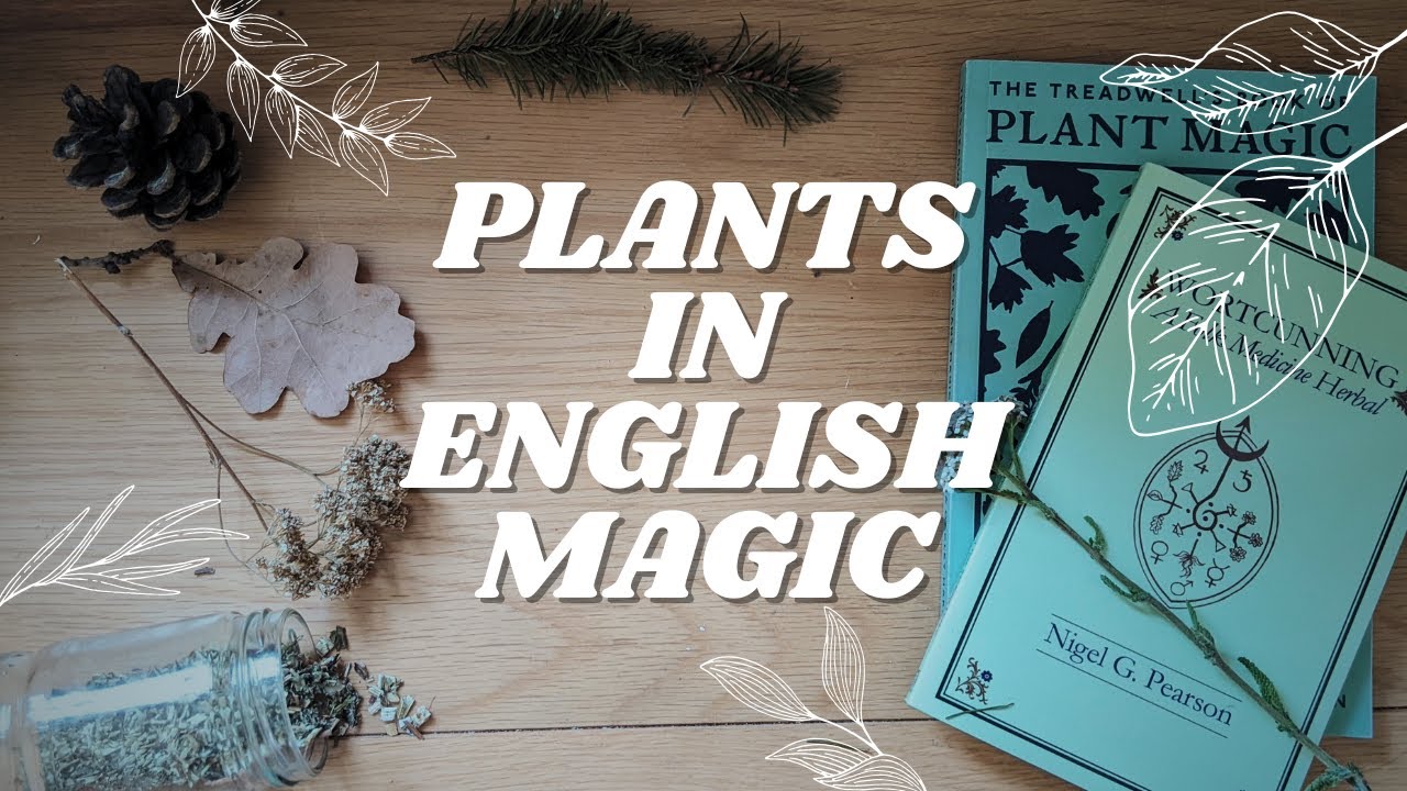 Traditional Herbs in English Folk Magic
