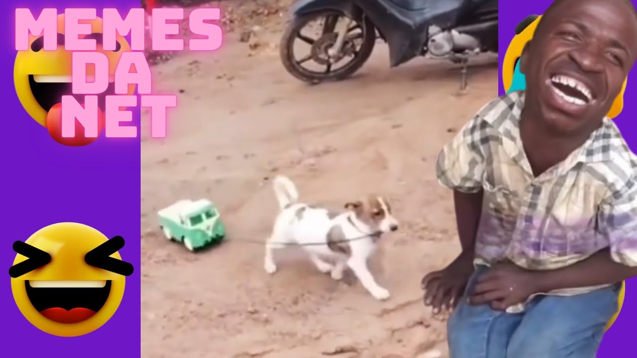 videos Engraçados 2024🤣🤣//Melhores Memes da Net[ TENTE NAO RIR] #134 #funny videos