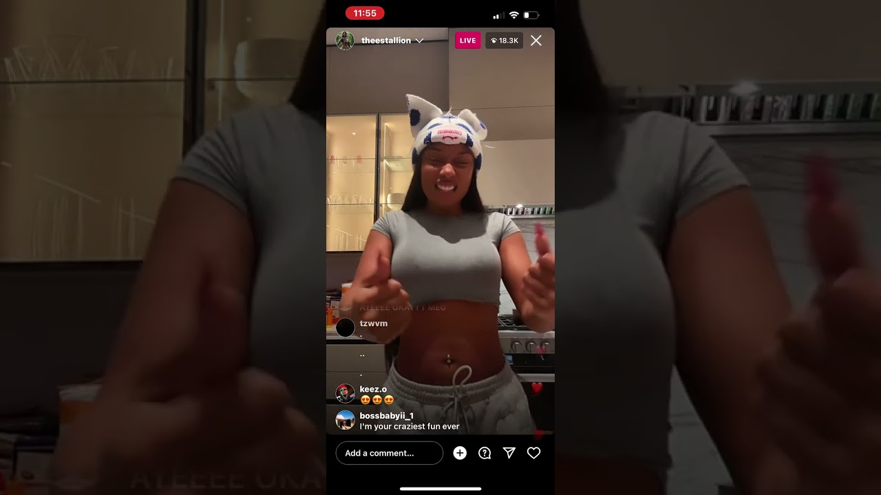 Megan The Stallion IG Live Nov 23, 2023