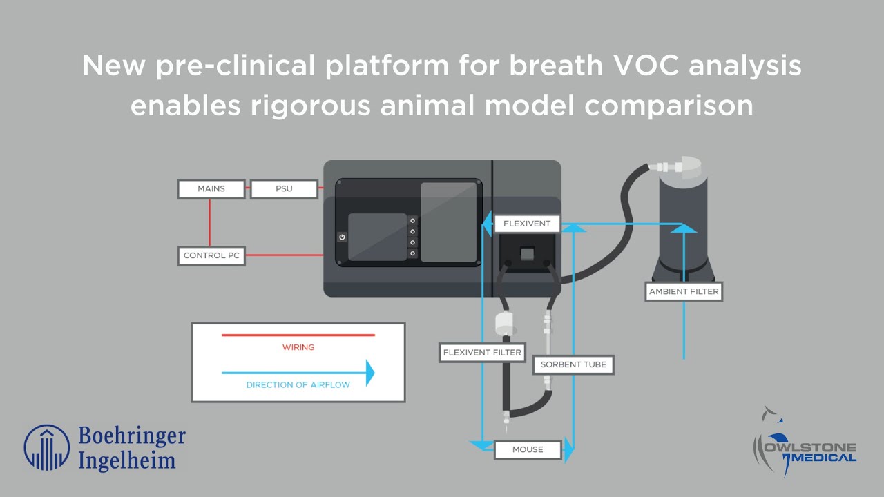 New pre-clinical platform for breath VOC analysis enables rigorous animal model comparison