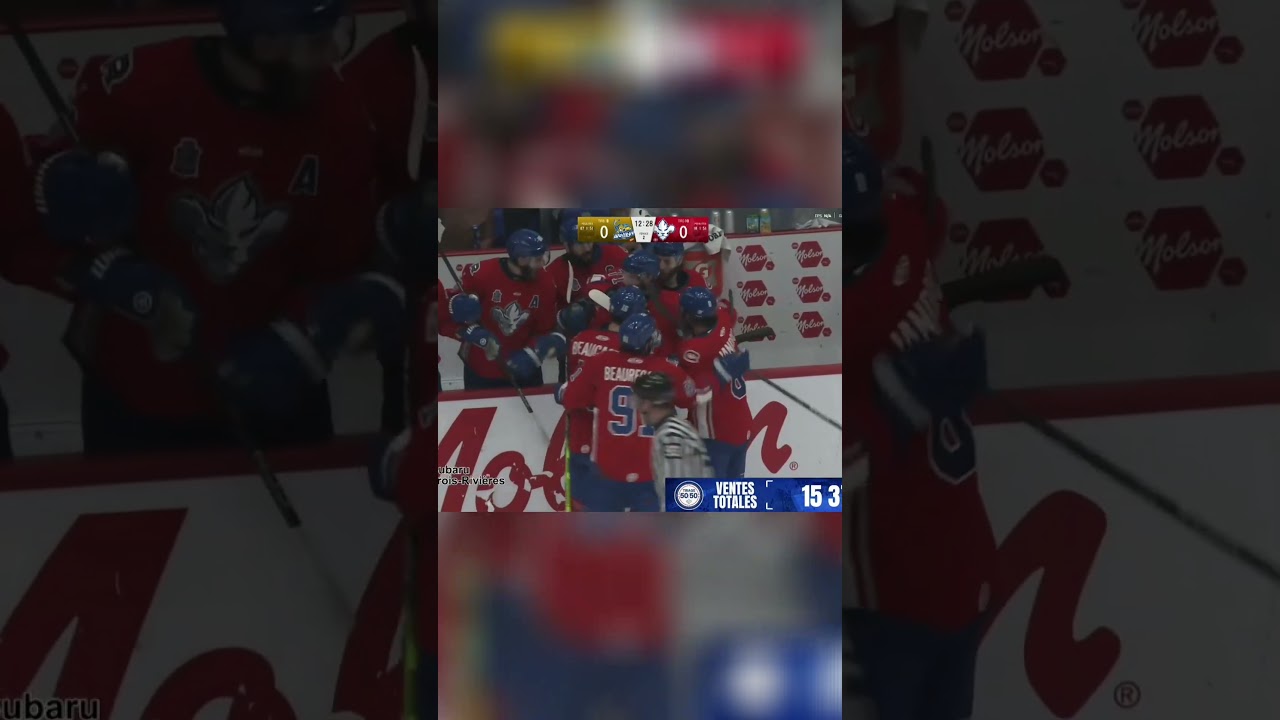 Crazy Hockey Saves & Goals You Won't Believe! #echl #kellycupfinals