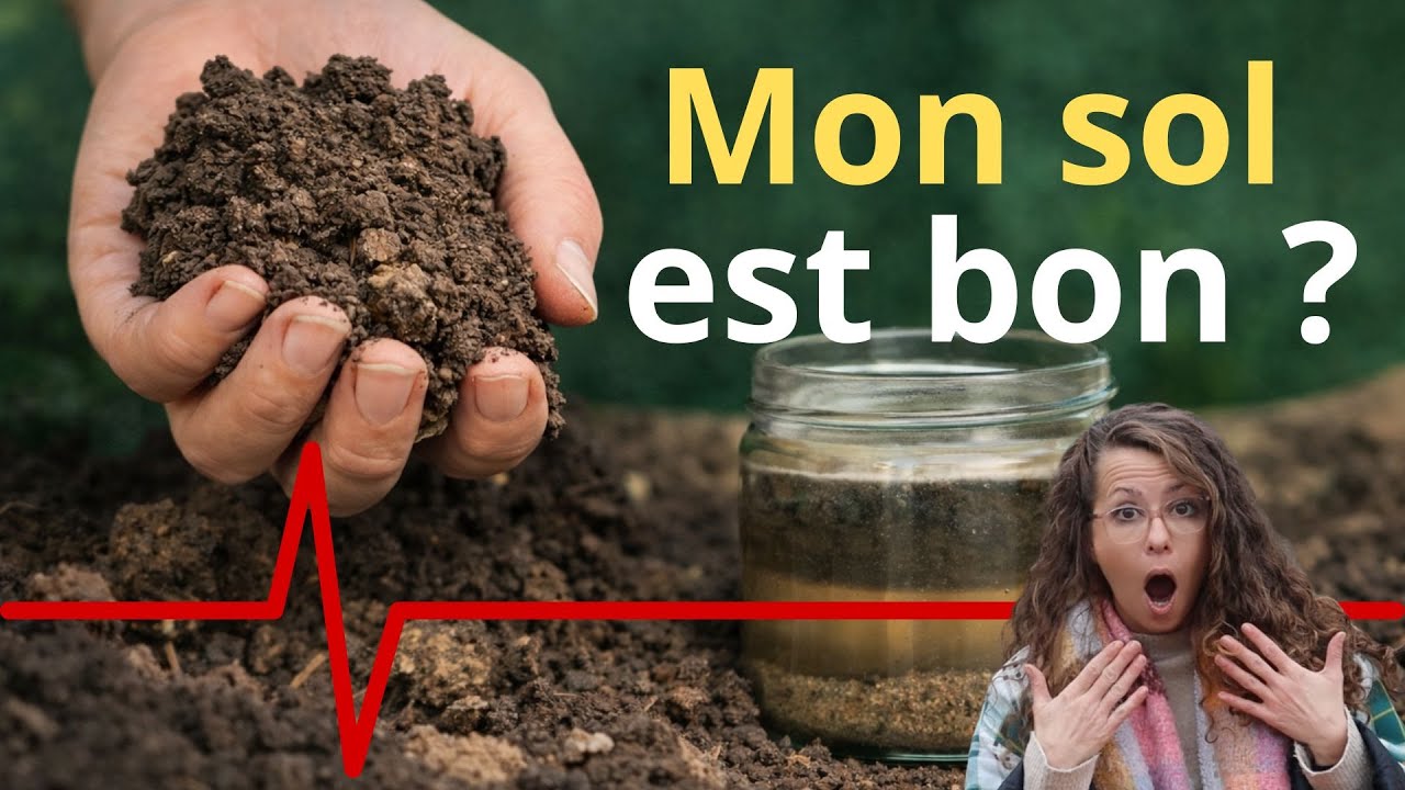 Comment savoir si mon sol est bon au potager ? Méthode simple de diagnostic #Potager #jardinage #bio