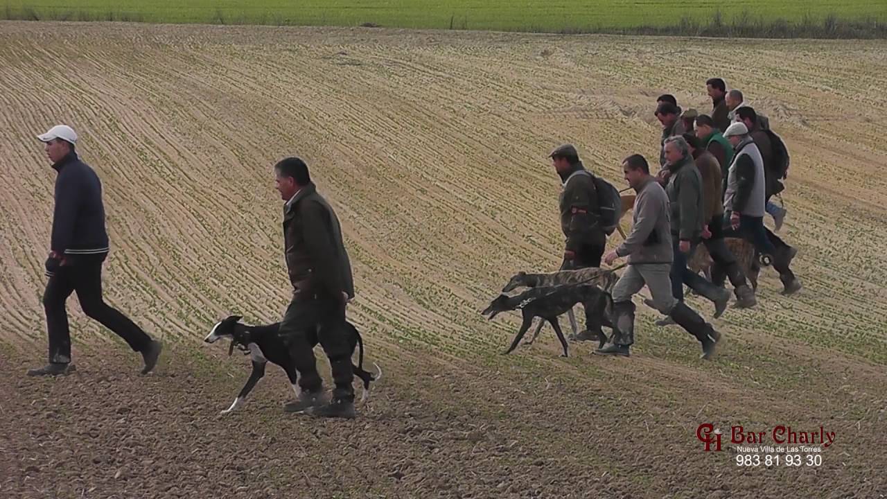Campeonato local Fuente el Sol 27 12 2015 (Galgos Y Liebres CH)