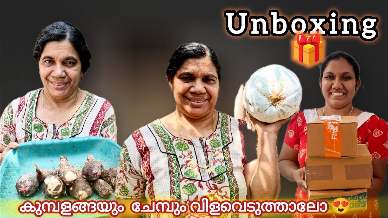 നെയ്പത്തലിനും പഴംപൊരിക്കും ഓർഡർ ഉള്ള ഒരു ദിവസം Day In Our Life😍#nadanlunchrecipe 👌