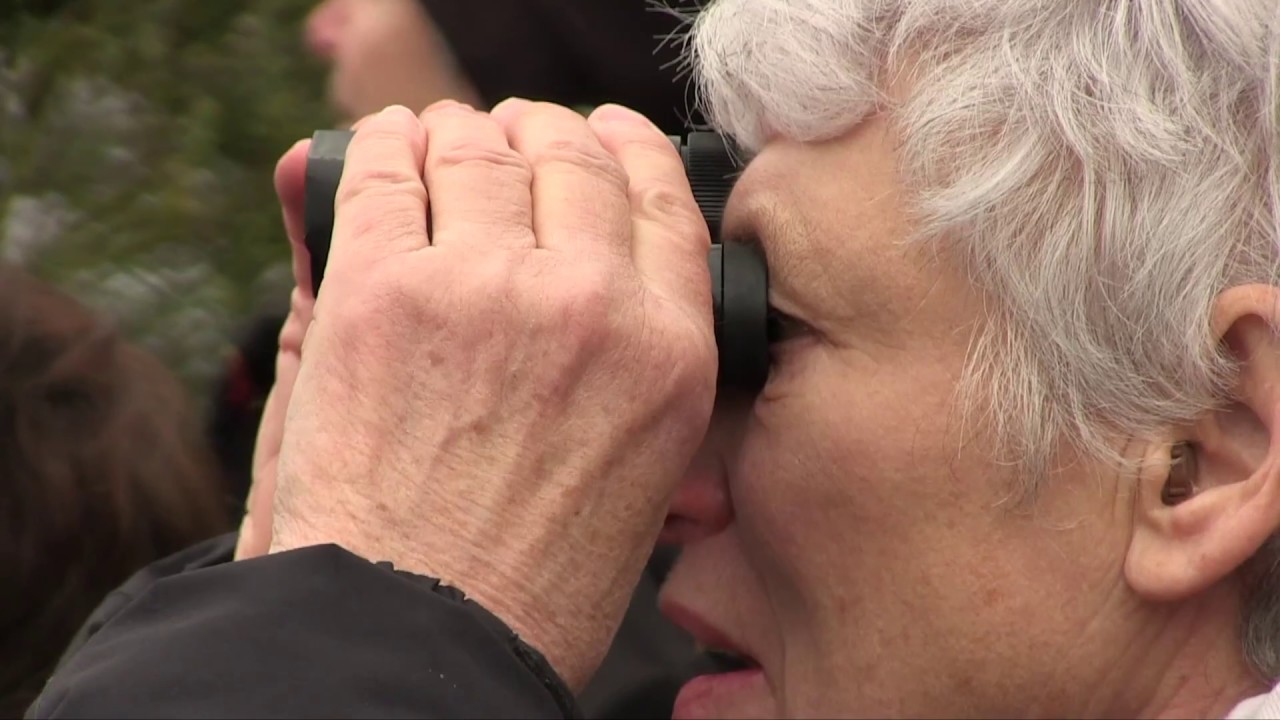 LPO Loire - Découverte des oiseaux