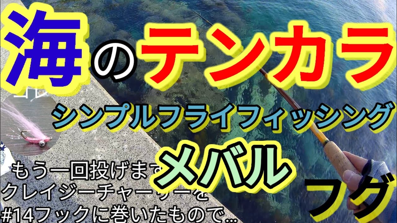 海のテンカラ釣り　メバルフグ編【実釣動画】