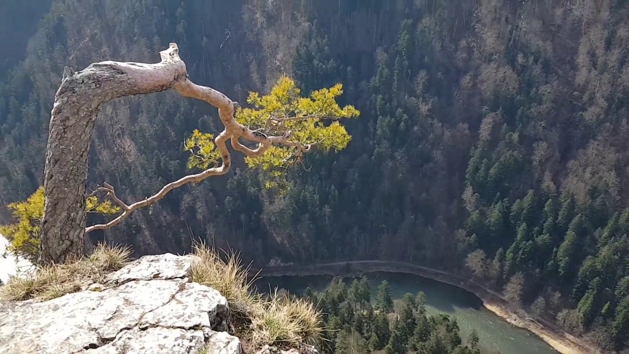 Przełom Dunajca. Z Krościenka na Sokolicę a tam przepaść 310 m !!!