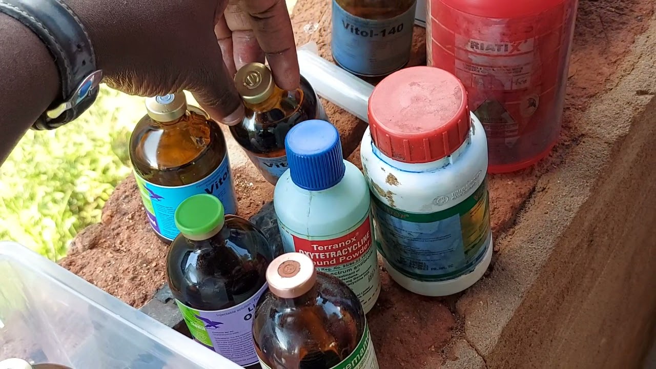 Essential Medications Every Goat Farm must have!