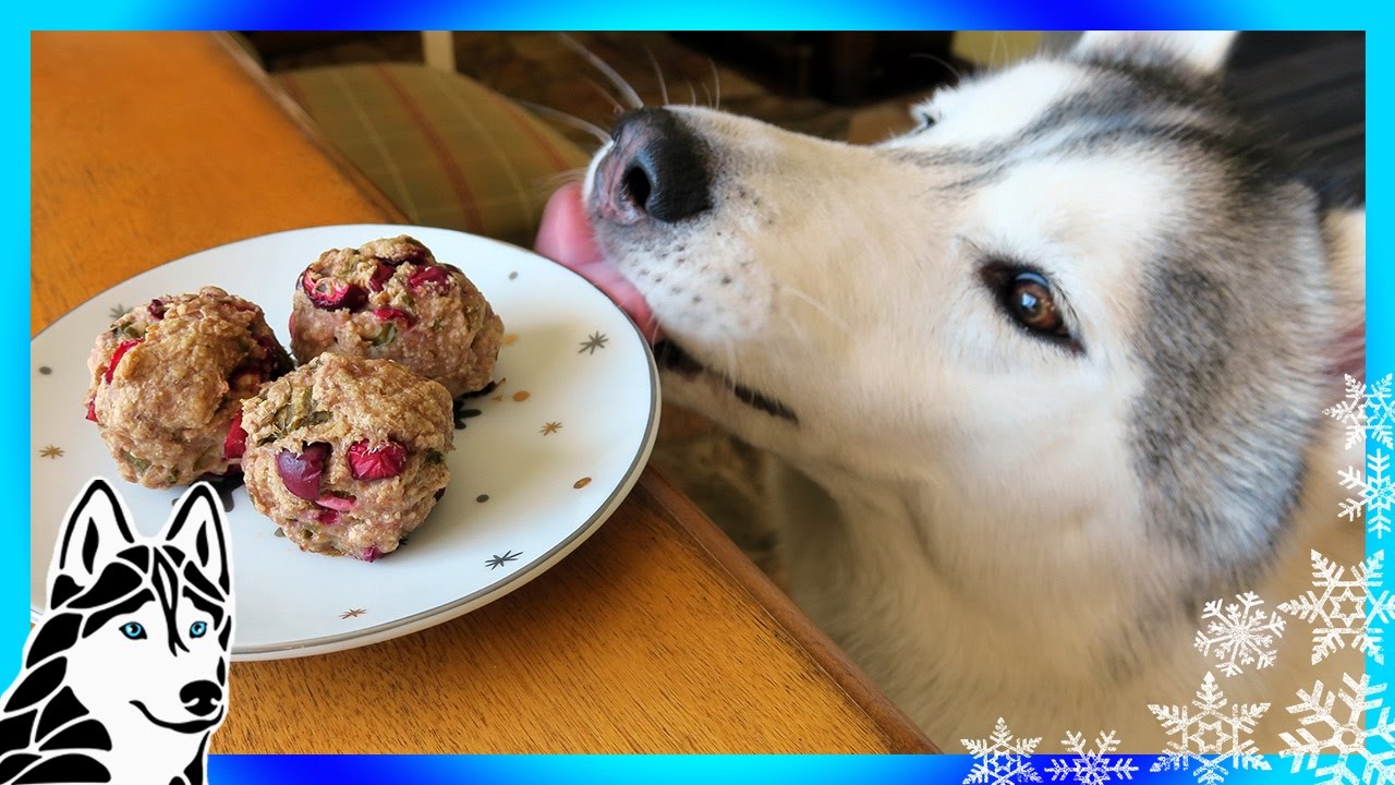 DIY THANKSGIVING MEATBALL DOG TREATS Snow Dogs Snacks 60 | DIY Dog Treats