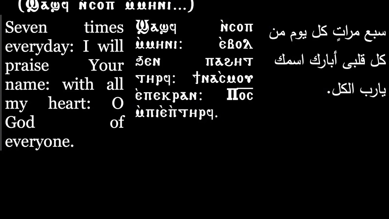 Sunday Theotokia- Seven times everyday| ثيؤطوكية الأحد شاشف انسوب أميني | Coptic Hymns