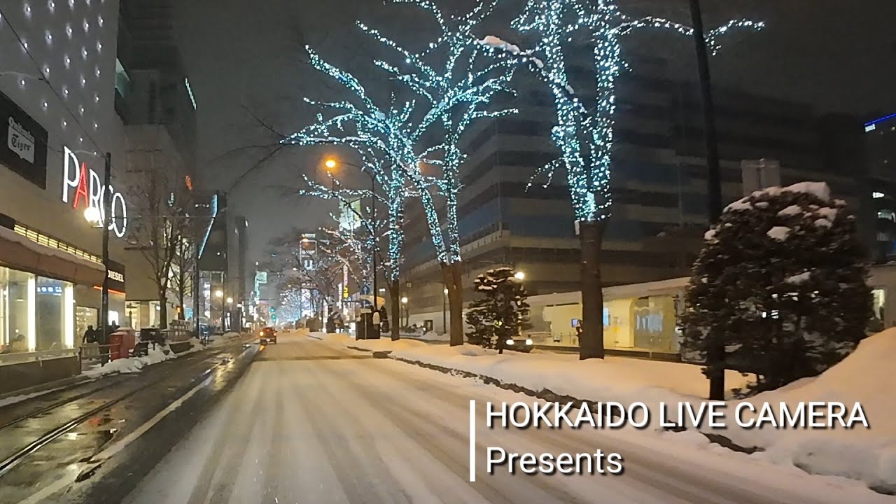 After Heavy Snow, Sapporo January 19th  2024 | 大雪後の